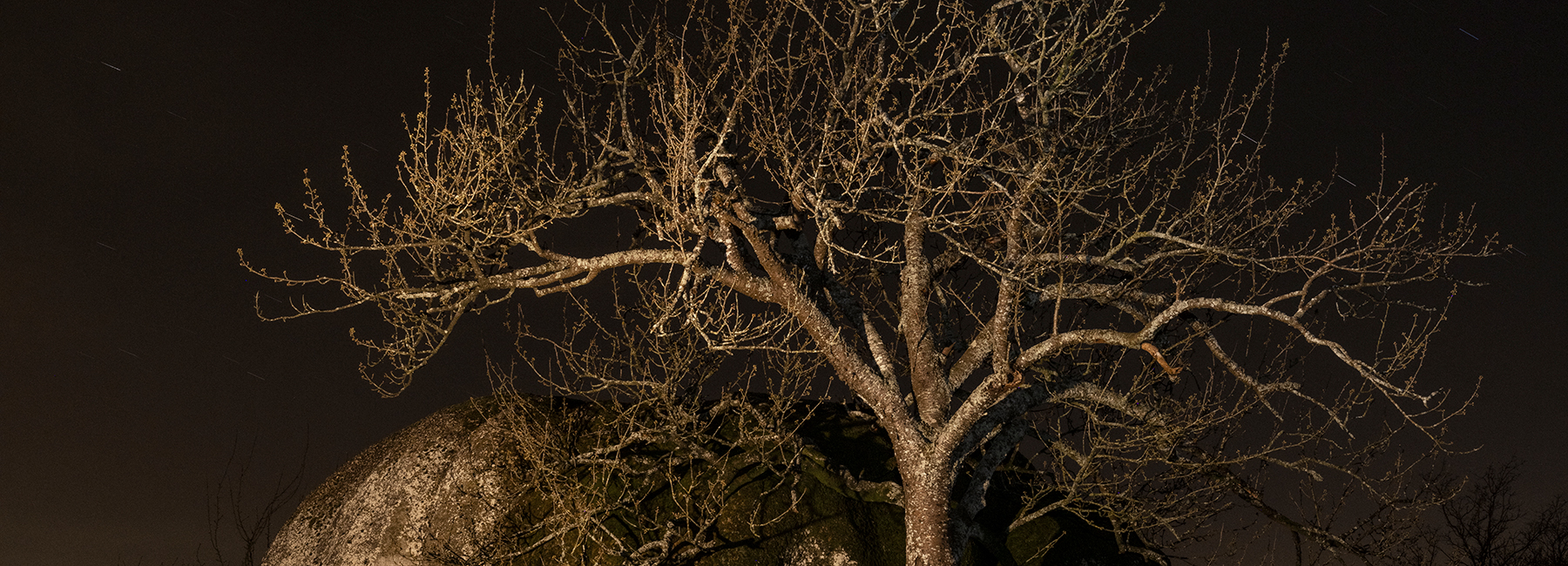 Photographie de Juliette Agnel