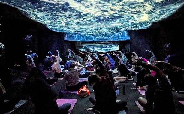 Yoga dans l'installation Profondeurs