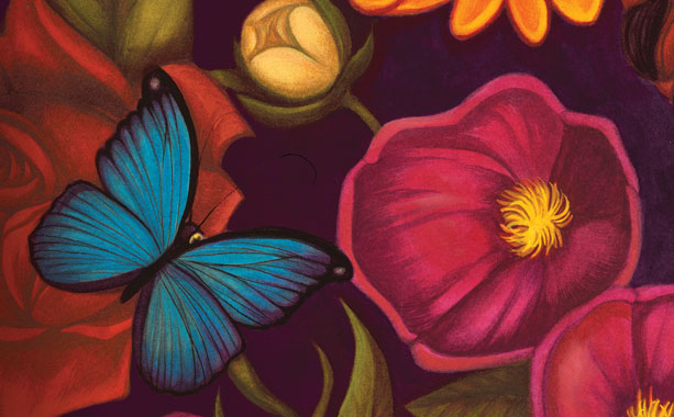 Illustration : Benjamin Lacombe