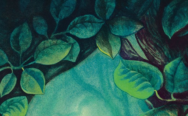 Illustration : Benjamin Lacombe