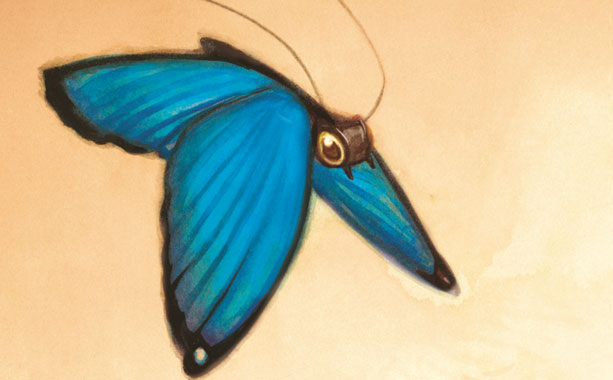 Illustration : Benjamin Lacombe