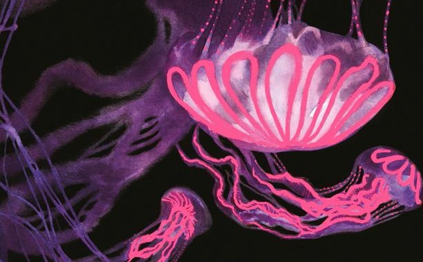 Illustration : Benjamin Lacombe