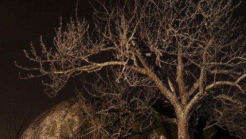 Photographie de Juliette Agnel